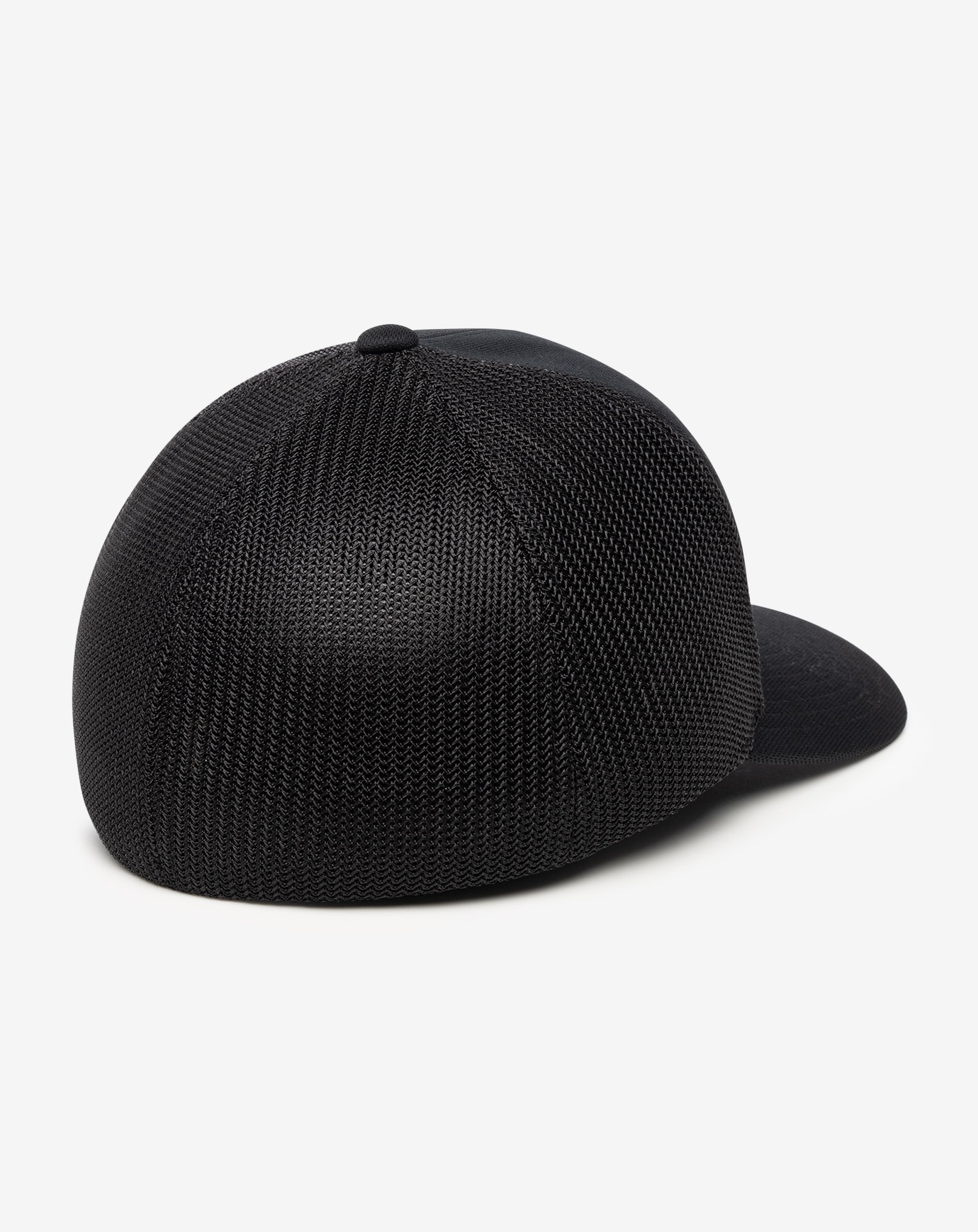 BLACK BEAR 2.0 FITTED HAT Image Thumbnail 2